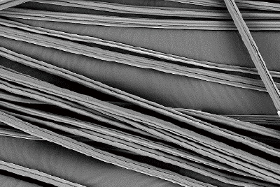 レーヨンの繊維表面の拡大写真
